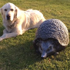 Hedgehog Sculpture